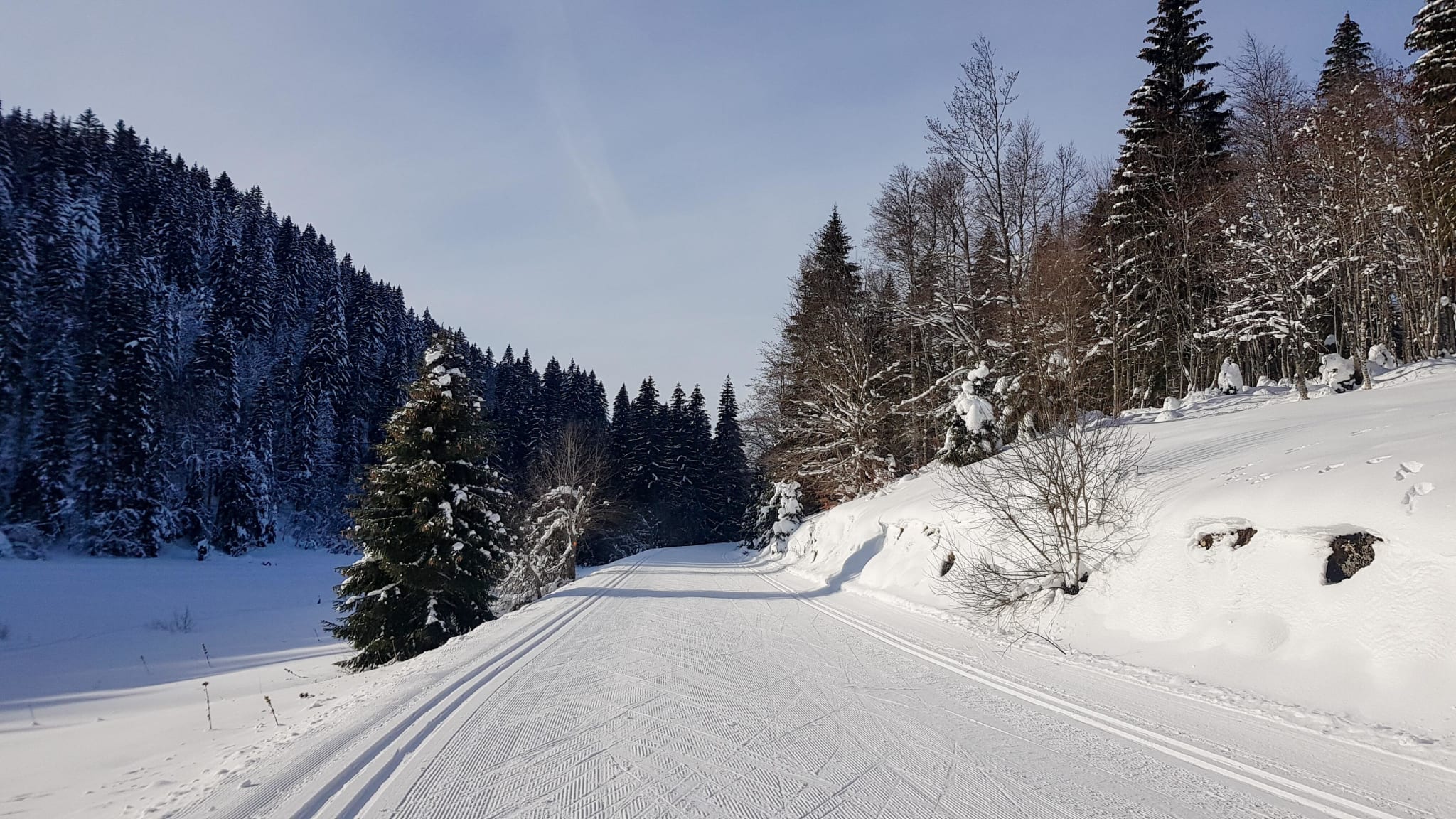 Ski de fond dans le Jura