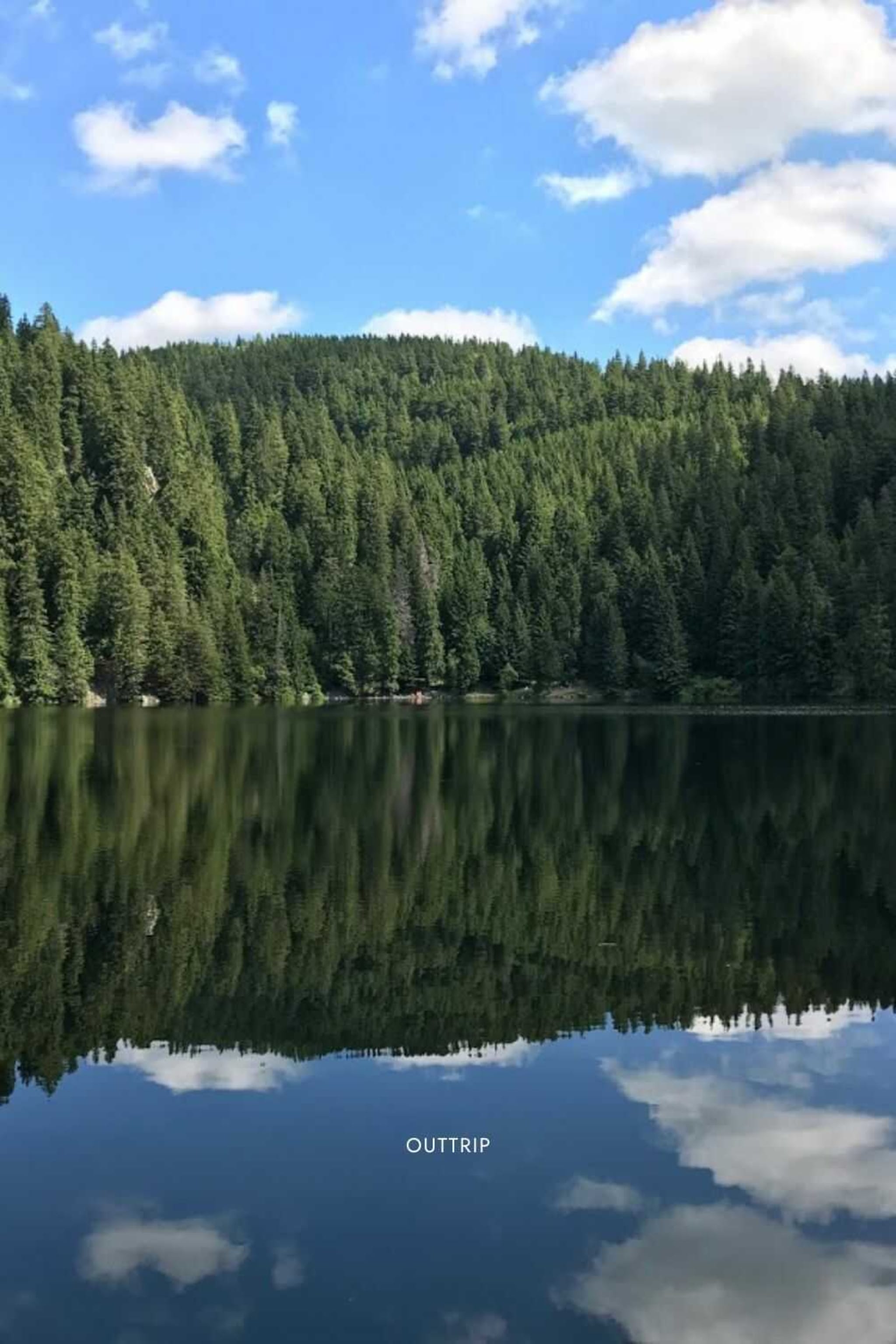 Massif des vosges 5