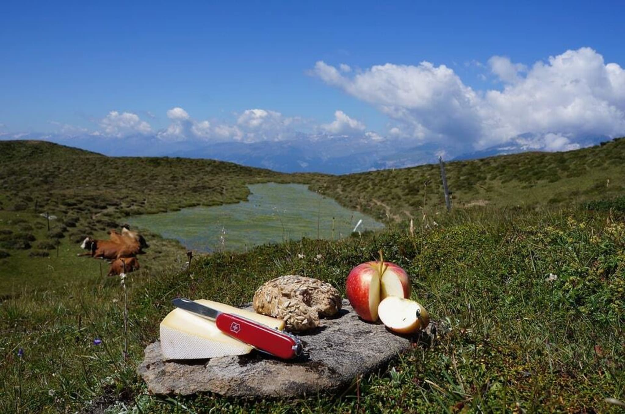 La nourriture en randonnée pause