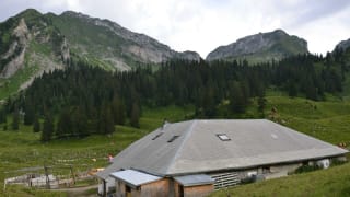 Alp Cerniets