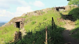 Hartmannswillerkopf 3