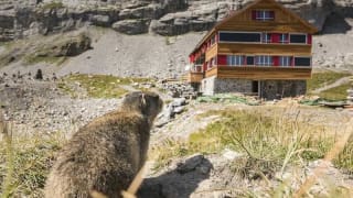Lämmerenhütte 2