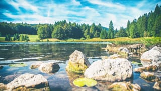 Baignade en plein-air au lac Genin, près d'Oyonnax