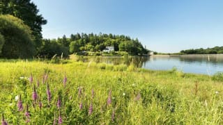 Lac au Duc Ploërmel 1