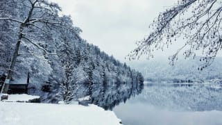 Lac de Longemer 4