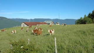 Refuge des Garins 2