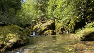 Cascade-du-saut-du-Day-Suisse-3.jpeg