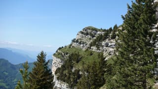 LE-PINET-Randonnee-en-Chartreuse-Grotte-a-l-Echelle-et-Fouda-blanc-Savoie-Isere-LE-TRUC-1.jpeg