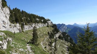 LE-PINET-Randonnee-en-Chartreuse-Grotte-a-l-Echelle-et-Fouda-blanc-Savoie-Isere-LE-TRUC-2.jpeg