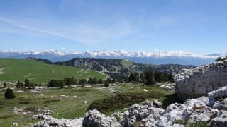 LE-PINET-Randonnee-en-Chartreuse-Grotte-a-l-Echelle-et-Fouda-blanc-Savoie-Isere-LE-TRUC.jpeg