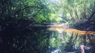 Le-sentier-du-bagne-des-Annamites.jpeg