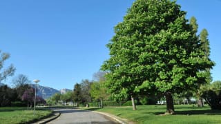 Parc Borély Marseille 3