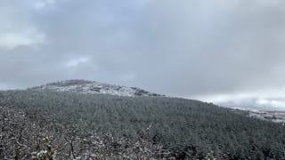 Parcours de Trail Hivernale des Templiers