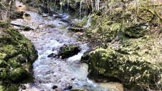 Rando-Trail-dans-les-Gorges-de-l-Orbe-en-Suisse-3.jpeg