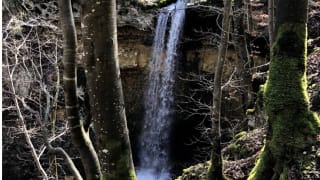 Rando-Trail-dans-les-Gorges-de-l-Orbe-en-Suisse.jpeg