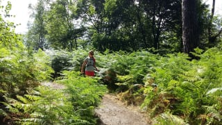 Rando-Trail-de-Igny-au-Chateau-de-Versailles-une-randonnee-au-vert-1.jpeg