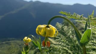 Randonnée Dent d'Orlu