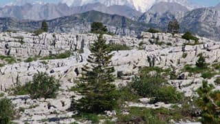 Randonnée Parmelan Chalet de l Anglettaz