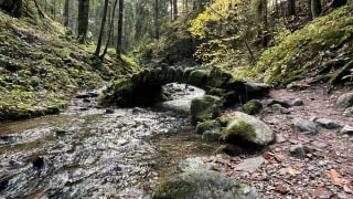 Randonnée et trail à Gérardmer - Saut de la Bourrique