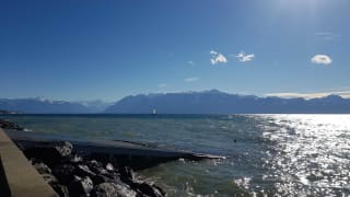 Run-au-bord-du-Leman-1.jpeg