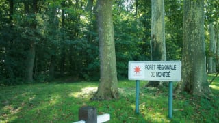 S-evader-a-quelques-km-de-Paris-la-foret-de-Montge-en-Goele-2.jpeg