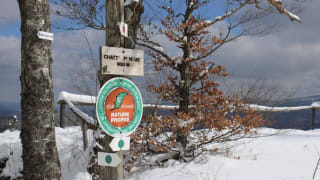 Sentier du Château de Salm