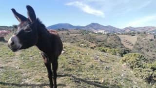 Sentier du Littoral Banyuls-Cerbère