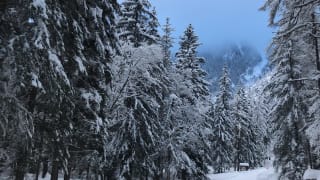 Ski-de-Fond-Chamonix