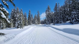 Ski de Fond Saisies Beaufortain 1