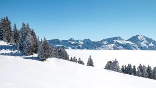 Ski de Fond Semnoz Annecy 2