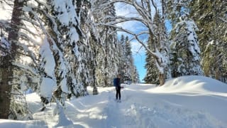 Itinéraire de ski de Randonnée La Dôle