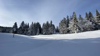 Ski-de-fond-dans-le-haut-jura-a-La-Vattay-3.jpeg