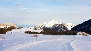 Station-de-Ski-de-Fond-du-plateau-des-Glieres-Haute-Savoie.jpeg