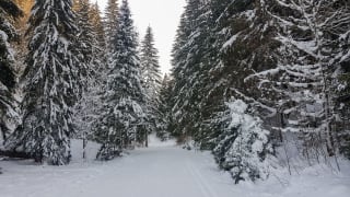 Station-de-ski-de-fond-Lajoux-domaine-des-Hautes-Combes-du-Jura-2.jpeg