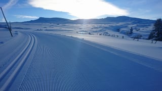 Station de ski de fond Tour d Auvergne la Stèle Sancy