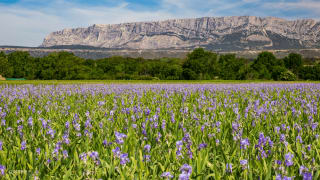 Tour de la Sainte Victoire vélo 1