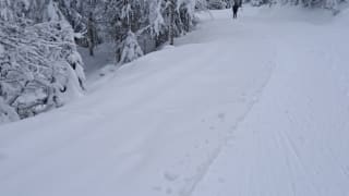 la bresse ski de fond