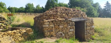 A-la-decouverte-des-cabornes-dans-les-Monts-d-Or.jpeg