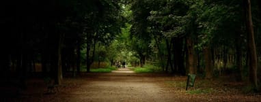 Courir au bois de Boulogne