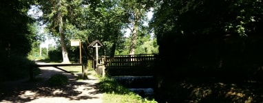 Rando-Trail-de-Igny-au-Chateau-de-Versailles-une-randonnee-au-vert.jpeg