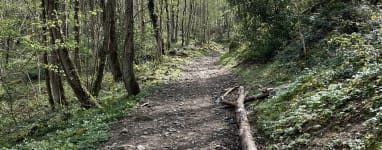 Randonnée VTT Le coupe gorge