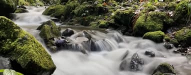 Randonnée et trail à Gérardmer - Saut de la Bourrique