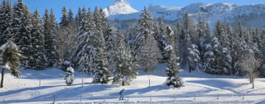 Ski de fond Villard de Lans