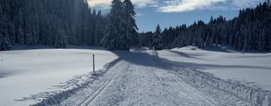 Station de ski de fond La Pesse ski-joering