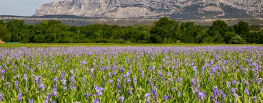 Tour de la Sainte Victoire vélo 1