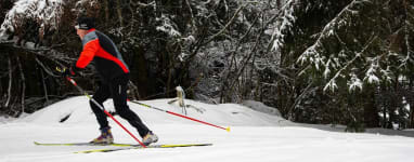 Ski de fond gerardmer 4