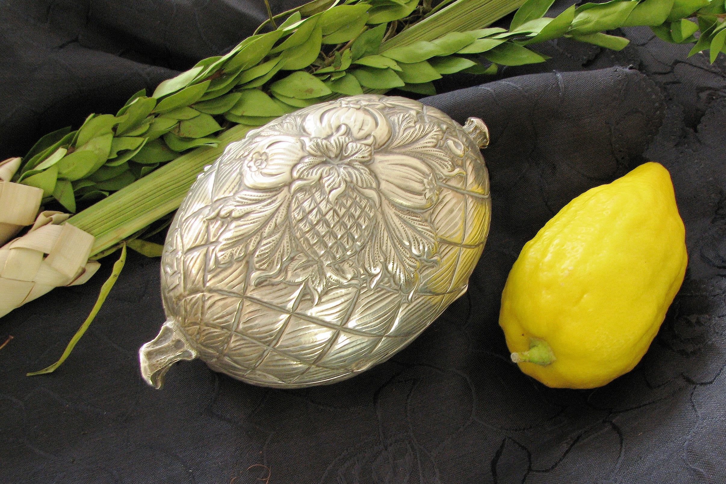 Sukkot The Four Species Arba Minim sukkot-the-four-species-arba-minim