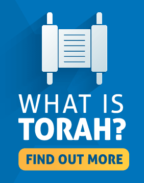 What is Torah? - NCSY