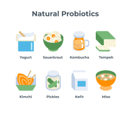 Common fermented foods.