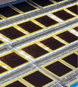 seaweed sheet manufacturing machine